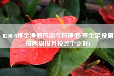 详细阅读:020003基金净值查询今日净值(基金定投周投两周投月投哪个更好) 020003基金净值查询今日净值(基金定投周投两周投月投哪个更好)
