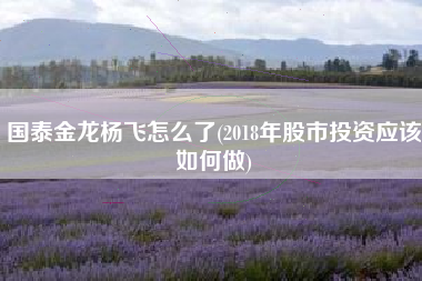 详细阅读:国泰金龙杨飞怎么了(2018年股市投资应该如何做) 国泰金龙杨飞怎么了(2018年股市投资应该如何做)