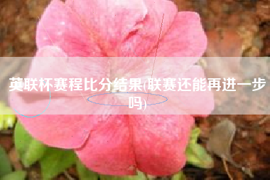 详细阅读:英联杯赛程比分结果(联赛还能再进一步吗) 英联杯赛程比分结果(联赛还能再进一步吗)