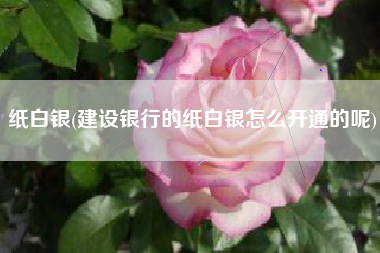 详细阅读:纸白银(建设银行的纸白银怎么开通的呢) 纸白银(建设银行的纸白银怎么开通的呢)