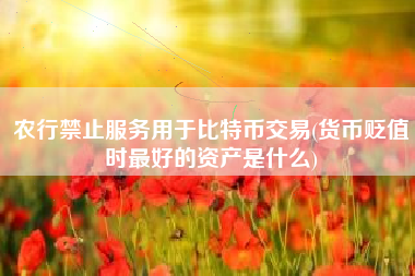 详细阅读:农行禁止服务用于比特币交易(货币贬值时最好的资产是什么) 农行禁止服务用于比特币交易(货币贬值时最好的资产是什么)