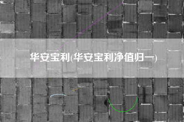 详细阅读:华安宝利(华安宝利净值归一) 华安宝利(华安宝利净值归一)