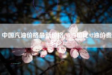 详细阅读:中国汽油价格最新价格(95油价比92油价贵多少) 中国汽油价格最新价格(95油价比92油价贵多少)