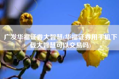 详细阅读:广发华福证券大智慧(华福证券用手机下载大智慧可以交易吗) 广发华福证券大智慧(华福证券用手机下载大智慧可以交易吗)