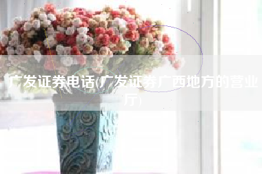 详细阅读:广发证券电话(广发证券广西地方的营业厅) 广发证券电话(广发证券广西地方的营业厅)