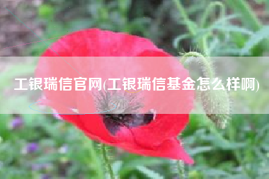 详细阅读:工银瑞信官网(工银瑞信基金怎么样啊) 工银瑞信官网(工银瑞信基金怎么样啊)