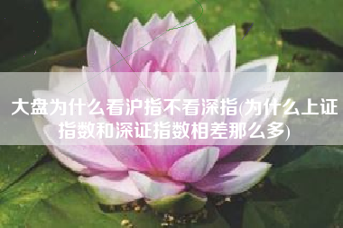 详细阅读:大盘为什么看沪指不看深指(为什么上证指数和深证指数相差那么多) 大盘为什么看沪指不看深指(为什么上证指数和深证指数相差那么多)