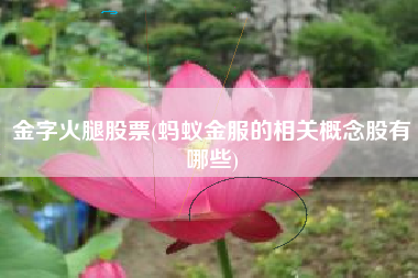 详细阅读:金字火腿股票(蚂蚁金服的相关概念股有哪些) 金字火腿股票(蚂蚁金服的相关概念股有哪些)