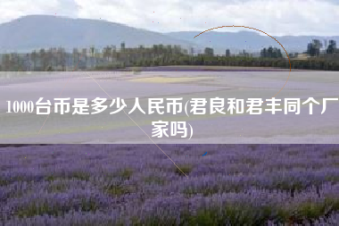 详细阅读:1000台币是多少人民币(君良和君丰同个厂家吗) 1000台币是多少人民币(君良和君丰同个厂家吗)