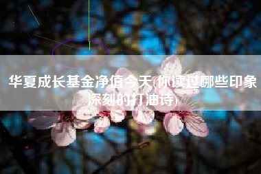 华夏成长基金净值今天(你读过哪些印象深刻的打油诗)