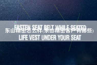 东山精密怎么样(东山精密客户有哪些)