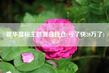 详细阅读:银华富裕主题混合持仓(亏了快20万了) 银华富裕主题混合持仓(亏了快20万了)