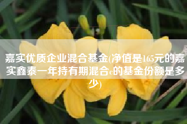 详细阅读:嘉实优质企业混合基金(净值是165元的嘉实鑫泰一年持有期混合c的基金份额是多少) 嘉实优质企业混合基金(净值是165元的嘉实鑫泰一年持有期混合c的基金份额是多少)