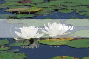详细阅读:www cninfo com cn(cninfo的意思) www cninfo com cn(cninfo的意思)