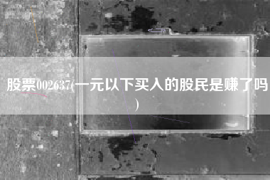 详细阅读:股票002637(一元以下买入的股民是赚了吗) 股票002637(一元以下买入的股民是赚了吗)