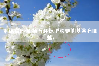 详细阅读:汇添富环保(持有环保型股票的基金有哪些) 汇添富环保(持有环保型股票的基金有哪些)