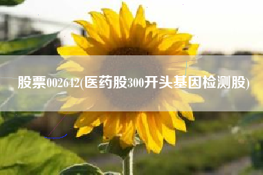详细阅读:股票002642(医药股300开头基因检测股) 股票002642(医药股300开头基因检测股)