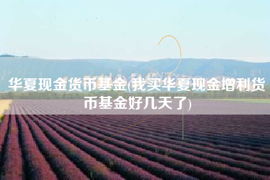 详细阅读:华夏现金货币基金(我买华夏现金增利货币基金好几天了) 华夏现金货币基金(我买华夏现金增利货币基金好几天了)