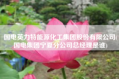 详细阅读:国电英力特能源化工集团股份有限公司(国电集团宁夏分公司总经理是谁) 国电英力特能源化工集团股份有限公司(国电集团宁夏分公司总经理是谁)