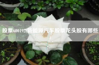 详细阅读:股票600192(新能源汽车股票龙头股有哪些) 股票600192(新能源汽车股票龙头股有哪些)