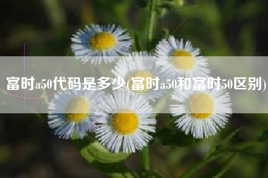 详细阅读:富时a50代码是多少(富时a50和富时50区别) 富时a50代码是多少(富时a50和富时50区别)