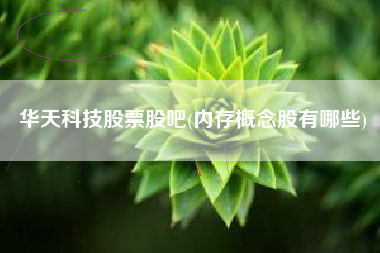 详细阅读:华天科技股票股吧(内存概念股有哪些) 华天科技股票股吧(内存概念股有哪些)