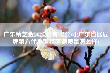 详细阅读:广东精艺金属股份有限公司(广东省锯匠牌第六代小型精密锯质量怎么样) 广东精艺金属股份有限公司(广东省锯匠牌第六代小型精密锯质量怎么样)