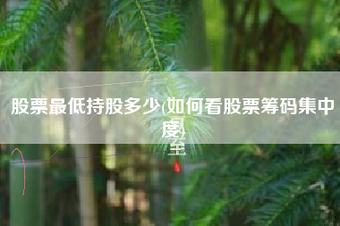 详细阅读:股票最低持股多少(如何看股票筹码集中度) 股票最低持股多少(如何看股票筹码集中度)
