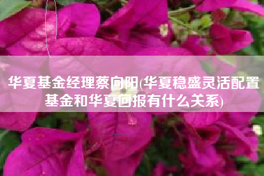 详细阅读:华夏基金经理蔡向阳(华夏稳盛灵活配置基金和华夏回报有什么关系) 华夏基金经理蔡向阳(华夏稳盛灵活配置基金和华夏回报有什么关系)