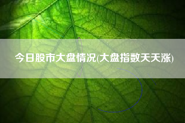 详细阅读:今日股市大盘情况(大盘指数天天涨) 今日股市大盘情况(大盘指数天天涨)