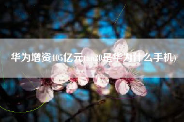 详细阅读:华为增资405亿元(an20是华为什么手机) 华为增资405亿元(an20是华为什么手机)