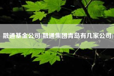 详细阅读:融通基金公司(融通集团青岛有几家公司) 融通基金公司(融通集团青岛有几家公司)