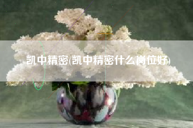 详细阅读:凯中精密(凯中精密什么岗位好) 凯中精密(凯中精密什么岗位好)