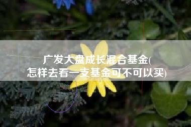 广发大盘成长混合基金(
怎样去看一支基金可不可以买) 广发大盘成长混合基金(
怎样去看一支基金可不可以买)