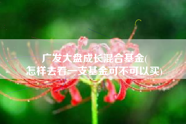 广发大盘成长混合基金(
怎样去看一支基金可不可以买) 广发大盘成长混合基金(
怎样去看一支基金可不可以买)
