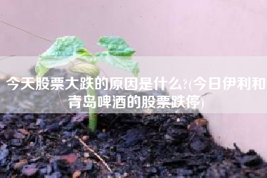 详细阅读:今天股票大跌的原因是什么?(今日伊利和青岛啤酒的股票跌停) 今天股票大跌的原因是什么?(今日伊利和青岛啤酒的股票跌停)