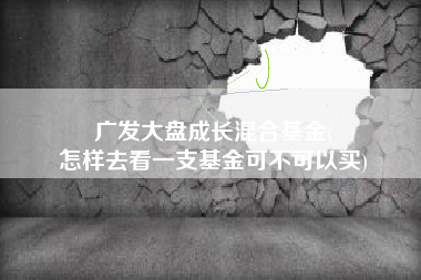 广发大盘成长混合基金(
怎样去看一支基金可不可以买) 广发大盘成长混合基金(
怎样去看一支基金可不可以买)