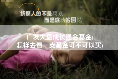 广发大盘成长混合基金(
怎样去看一支基金可不可以买) 广发大盘成长混合基金(
怎样去看一支基金可不可以买)