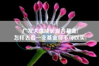 广发大盘成长混合基金(
怎样去看一支基金可不可以买) 广发大盘成长混合基金(
怎样去看一支基金可不可以买)