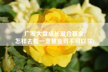 广发大盘成长混合基金(
怎样去看一支基金可不可以买) 广发大盘成长混合基金(
怎样去看一支基金可不可以买)