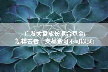 广发大盘成长混合基金(
怎样去看一支基金可不可以买) 广发大盘成长混合基金(
怎样去看一支基金可不可以买)