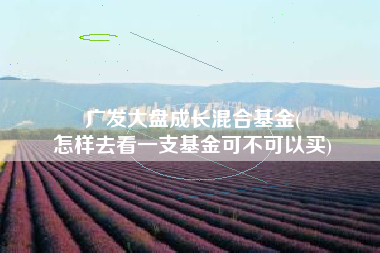 广发大盘成长混合基金(
怎样去看一支基金可不可以买) 广发大盘成长混合基金(
怎样去看一支基金可不可以买)