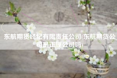 详细阅读:东航期货经纪有限责任公司(东航期货公司是正规公司吗) 东航期货经纪有限责任公司(东航期货公司是正规公司吗)