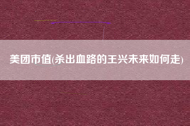 详细阅读:美团市值(杀出血路的王兴未来如何走) 美团市值(杀出血路的王兴未来如何走)