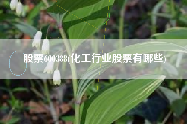 详细阅读:股票600388(化工行业股票有哪些) 股票600388(化工行业股票有哪些)