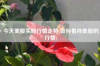 详细阅读:今天美股实时行情走势(如何看待美股的行情) 今天美股实时行情走势(如何看待美股的行情)