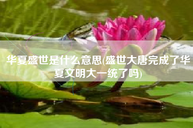 详细阅读:华夏盛世是什么意思(盛世大唐完成了华夏文明大一统了吗) 华夏盛世是什么意思(盛世大唐完成了华夏文明大一统了吗)