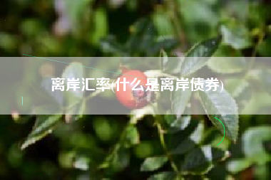 详细阅读:离岸汇率(什么是离岸债券) 离岸汇率(什么是离岸债券)