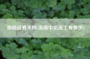 详细阅读:浙商证券天网(浙商中拓员工有多少) 浙商证券天网(浙商中拓员工有多少)