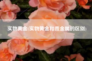 详细阅读:实物黄金(实物黄金和贵金属的区别) 实物黄金(实物黄金和贵金属的区别)